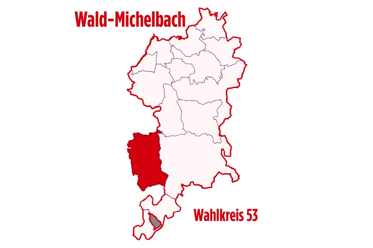 Wald-Michelbach › Rüdiger Holschuh MdL